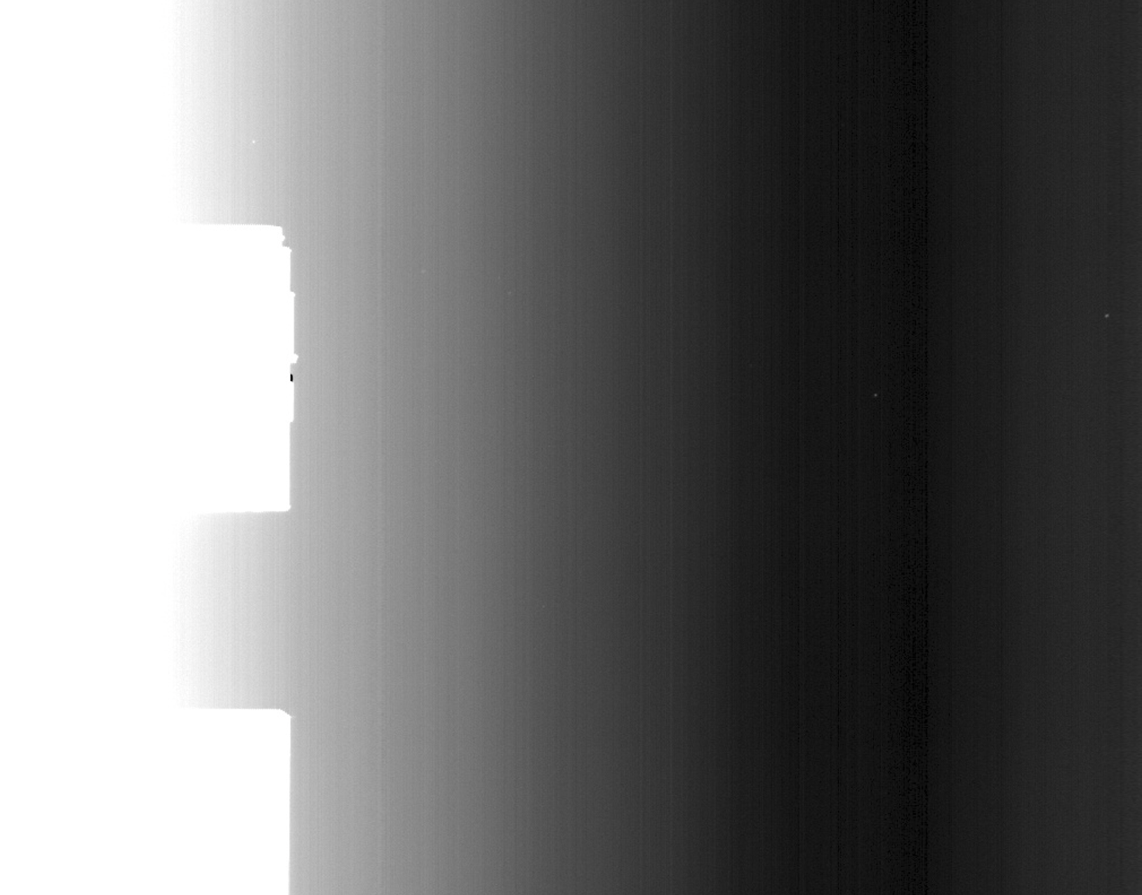 动物检测算法示意